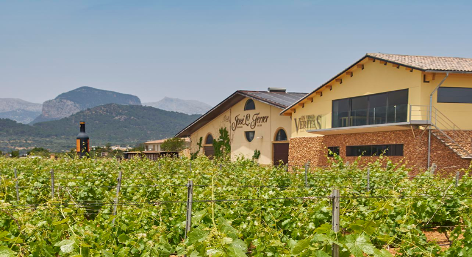 Wine in the hills — Majorca & Ibiza Pre-F(x) 2026
